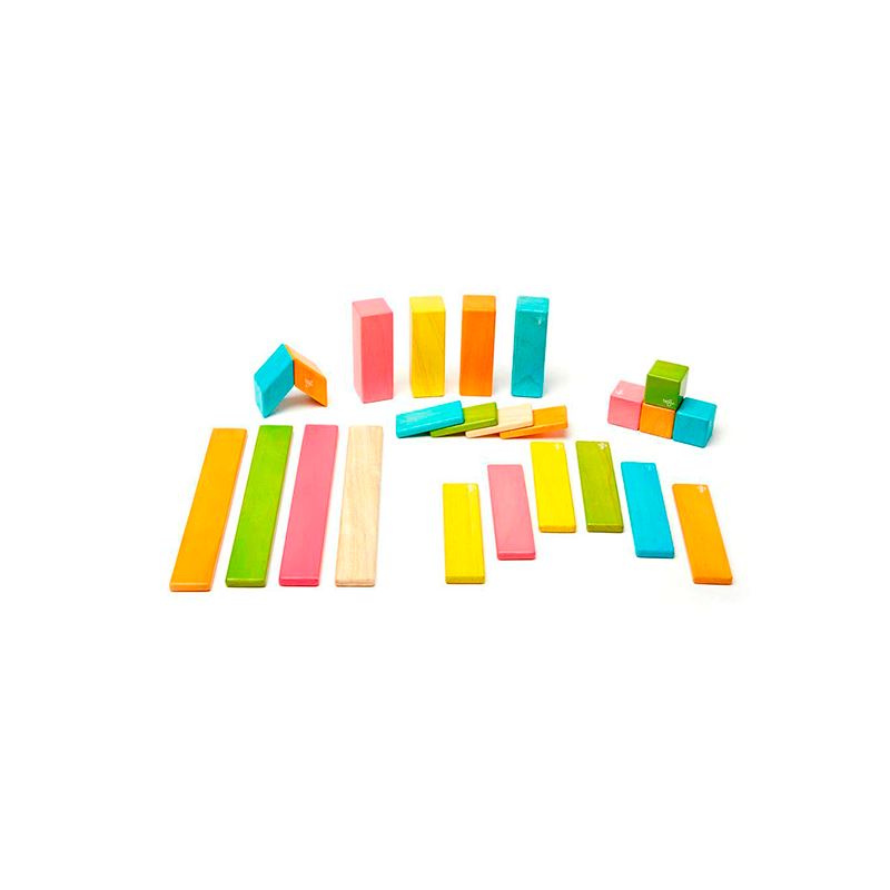 24-Piece Set <br>Magnetic Wooden Blocks <br>Tegu Classics Tints 