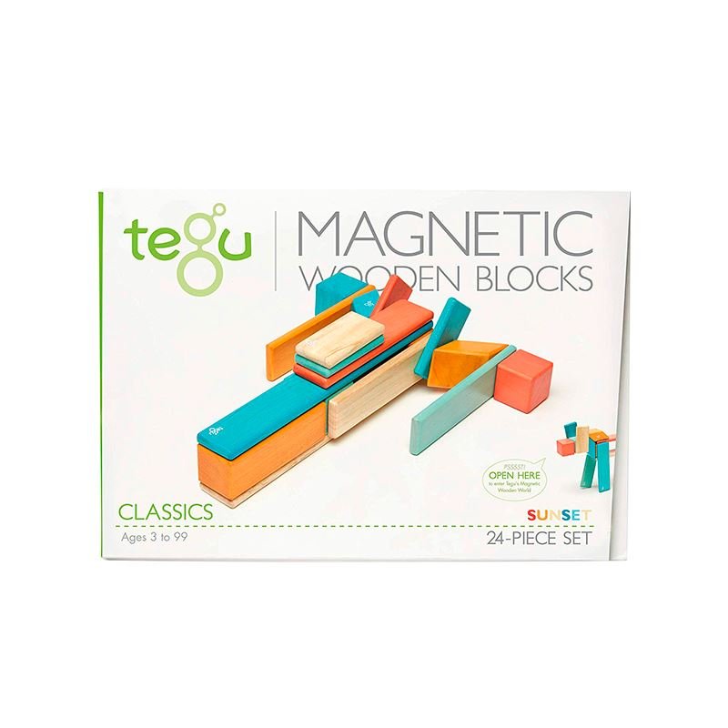Tegu - 24 - Piece Set Magnetic Wooden Blocks Tegu Classics