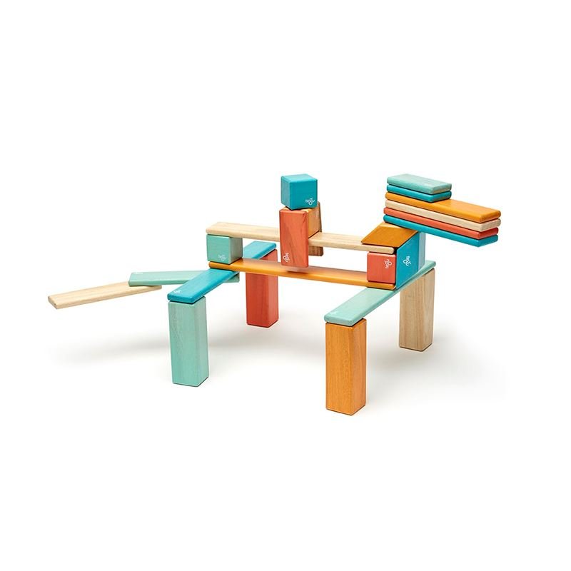 Tegu - 24 - Piece Set Magnetic Wooden Blocks Tegu Classics