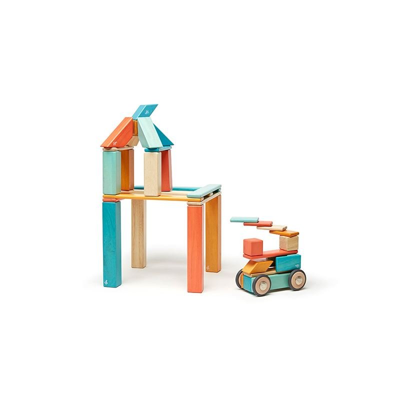 Tegu - 42 - Piece Set Magnetic Wooden Blocks Tegu Classics