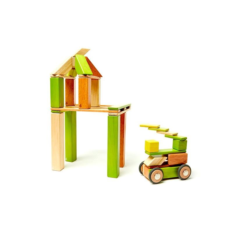 Tegu - 42 - Piece Set Magnetic Wooden Blocks Tegu Classics