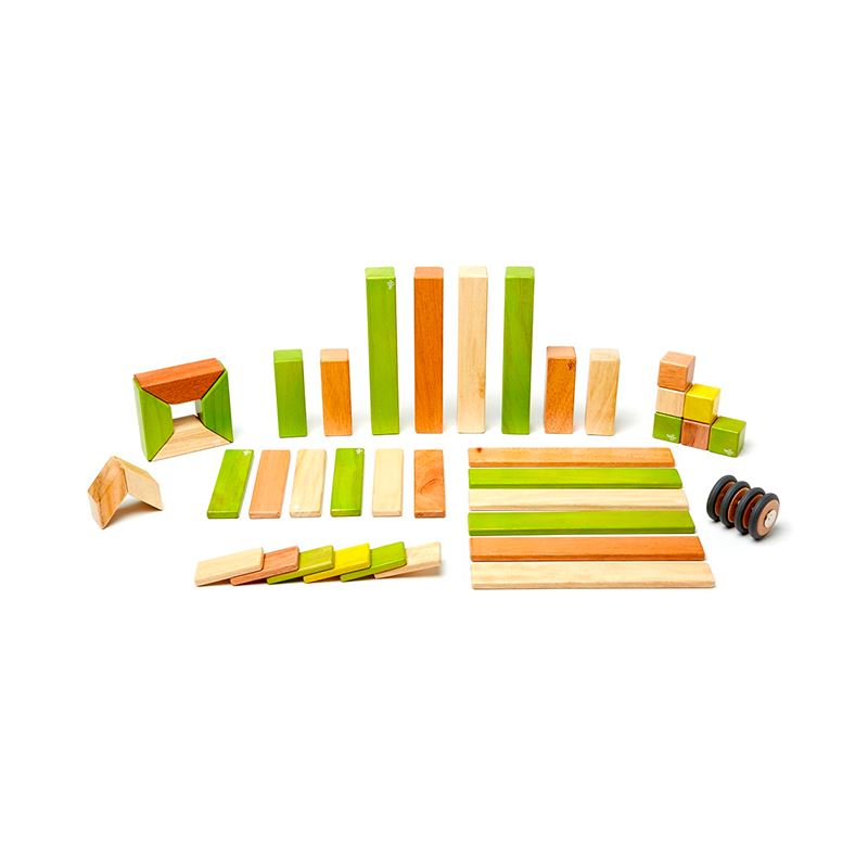 42-Piece Set Magnetic Wooden Blocks Tegu Classics Jungle 