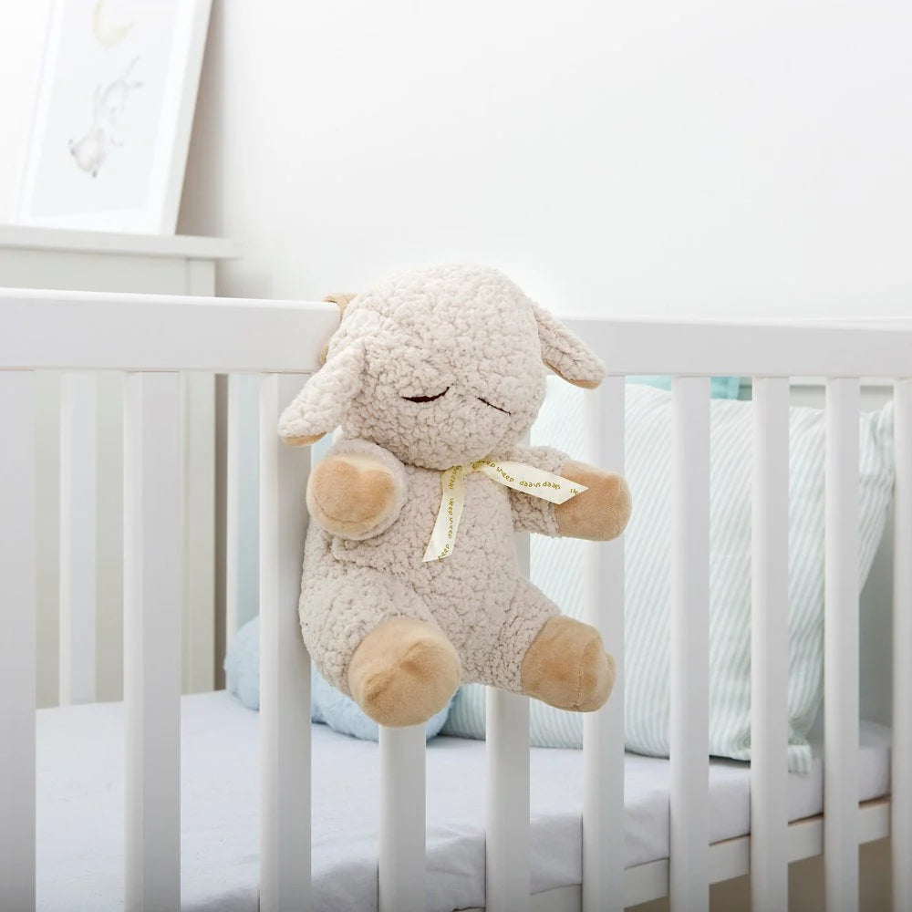 Cloud B Sleep Sheep Soothing Sound  Plush Toy