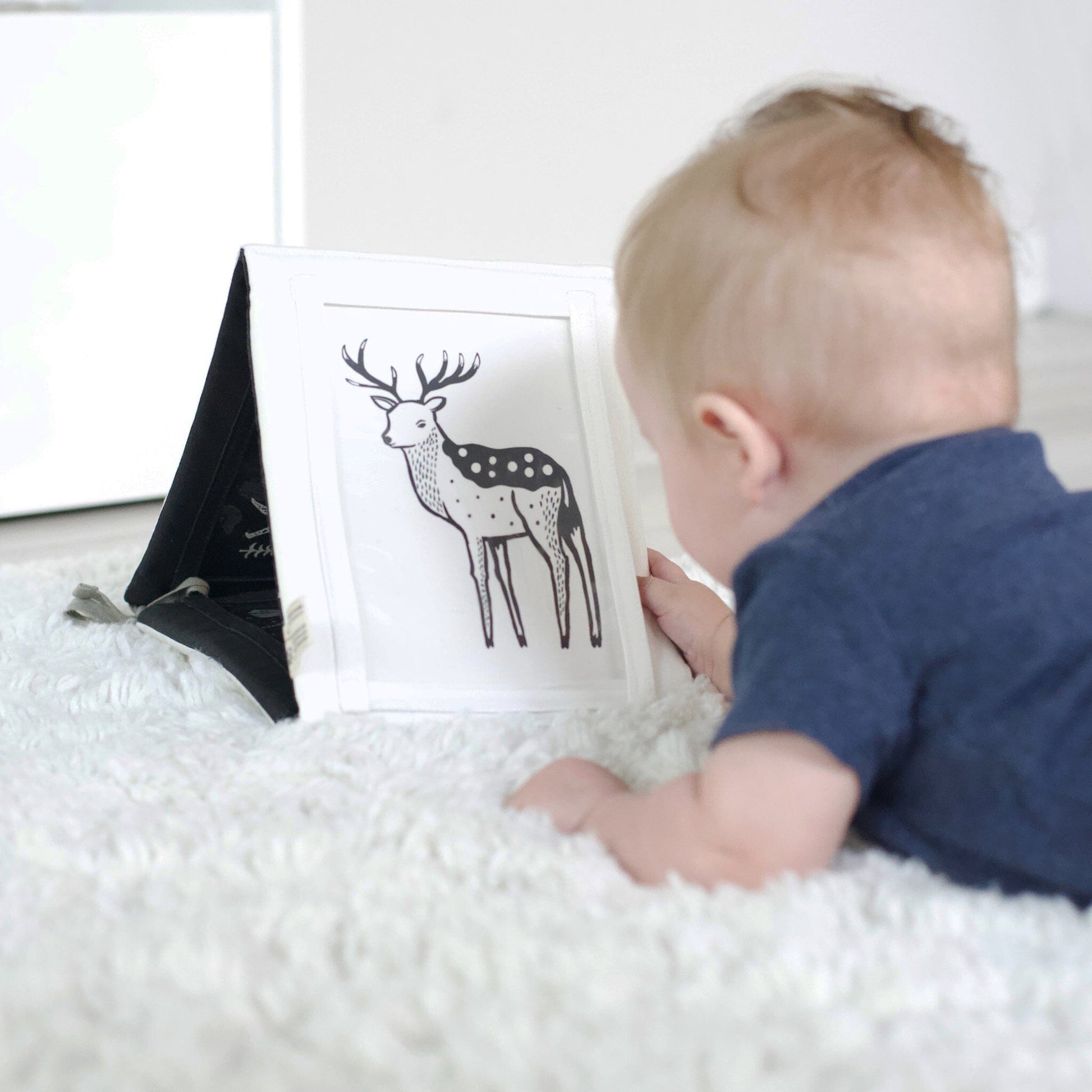 Baby Tummy Time Gallery with Mirror Baby & Toddler 