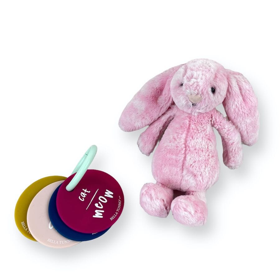 Bashful Bunny and Teething Flashcards Toys 