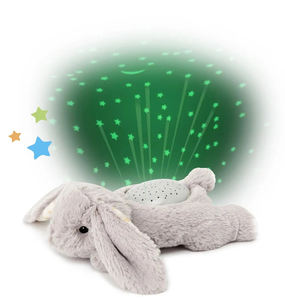 Cloud B Dream Buddies Bunny Toys 