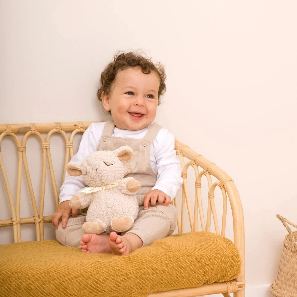 Cloud B + Pottery Barn Baby Sleep Sheep On The Go™ Toys 