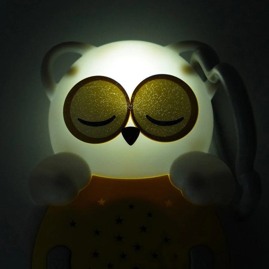 Cloud B Sweet Dreamz On the Go - Owl Toys 