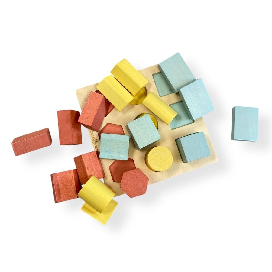 Coco Village 3D Wooden Shapes Puzzle Toys 