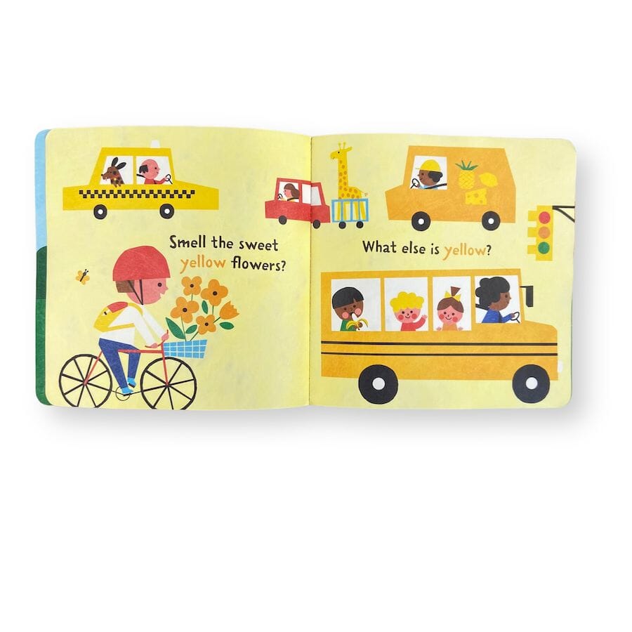 Mixed Brands - Colorful Baby Book Duo