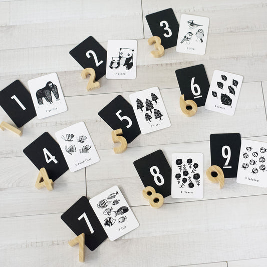 Counting Adventure Bundle Gift Sets  Matching Games for 3 year olds