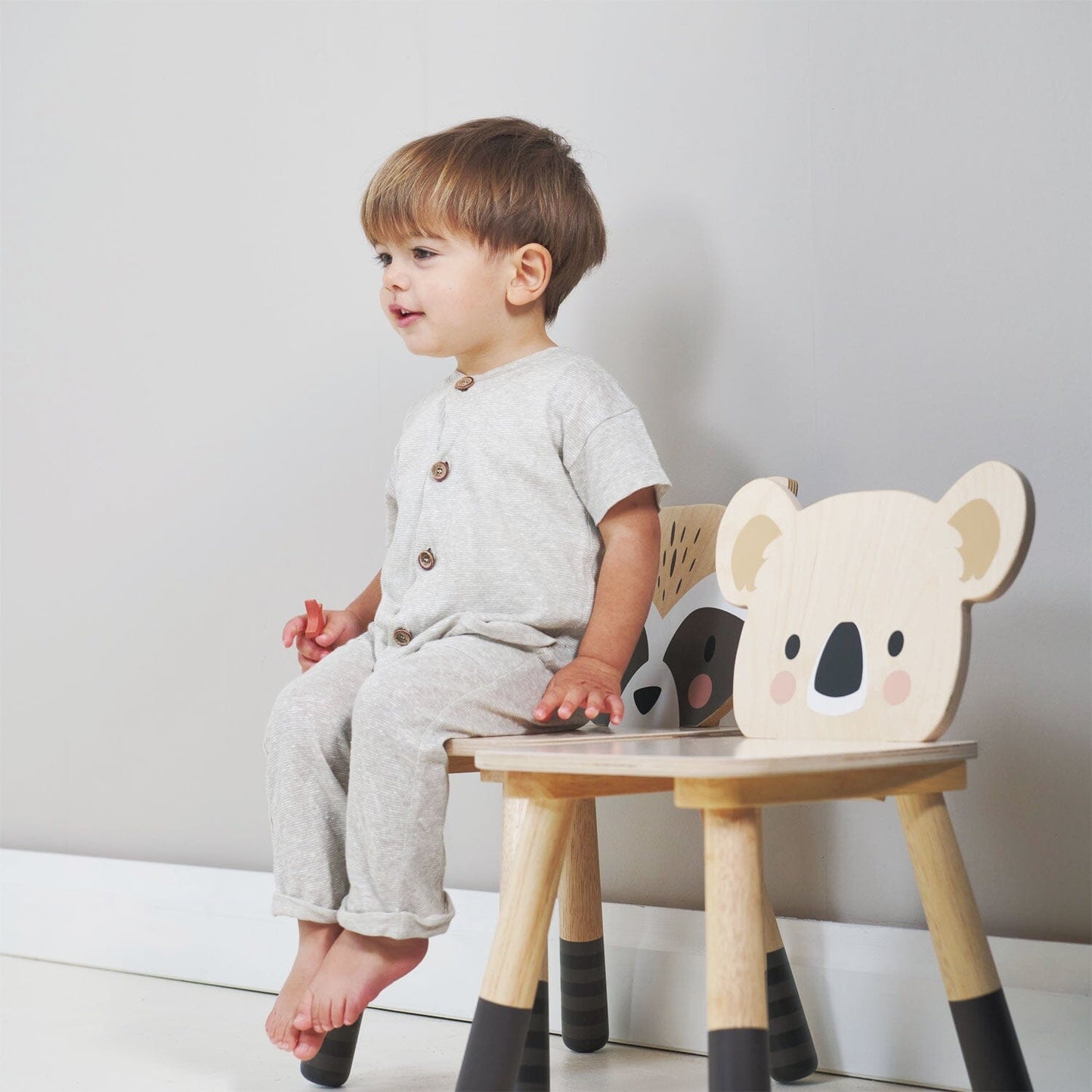 Tender Leaf - Forest Koala Chair