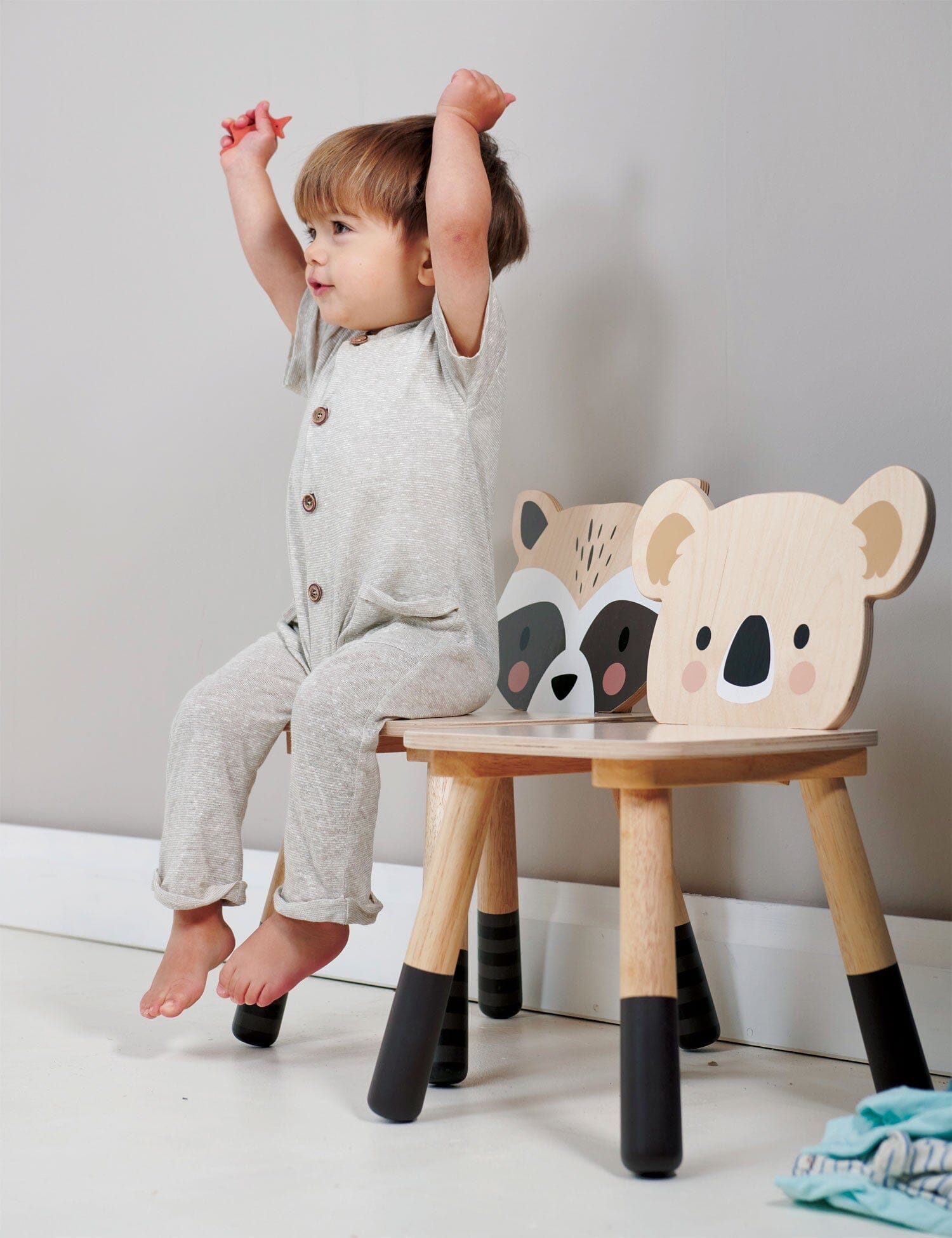 Tender Leaf - Forest Raccoon Chair