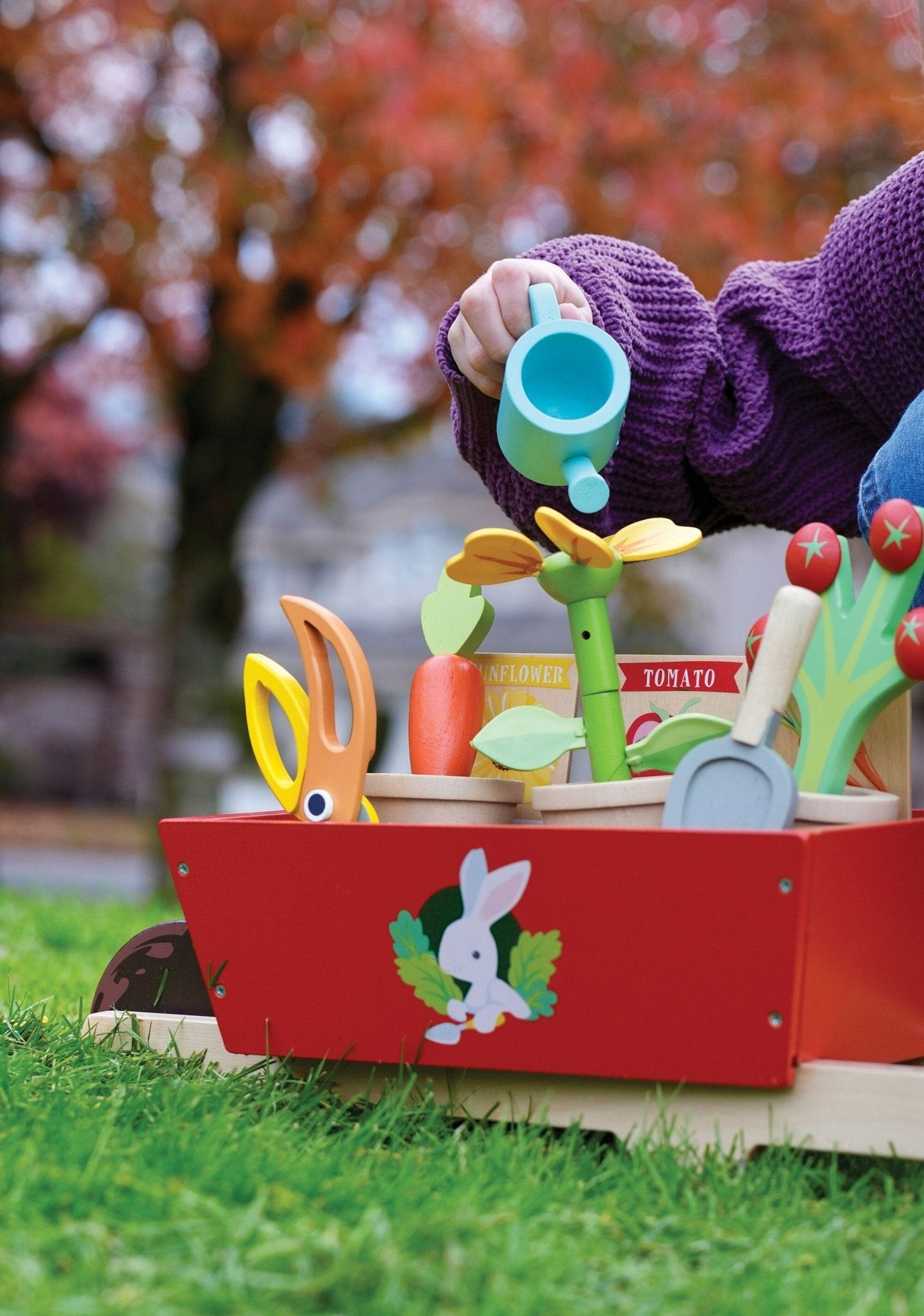 Tender Leaf - Garden Wheelbarrow Set
