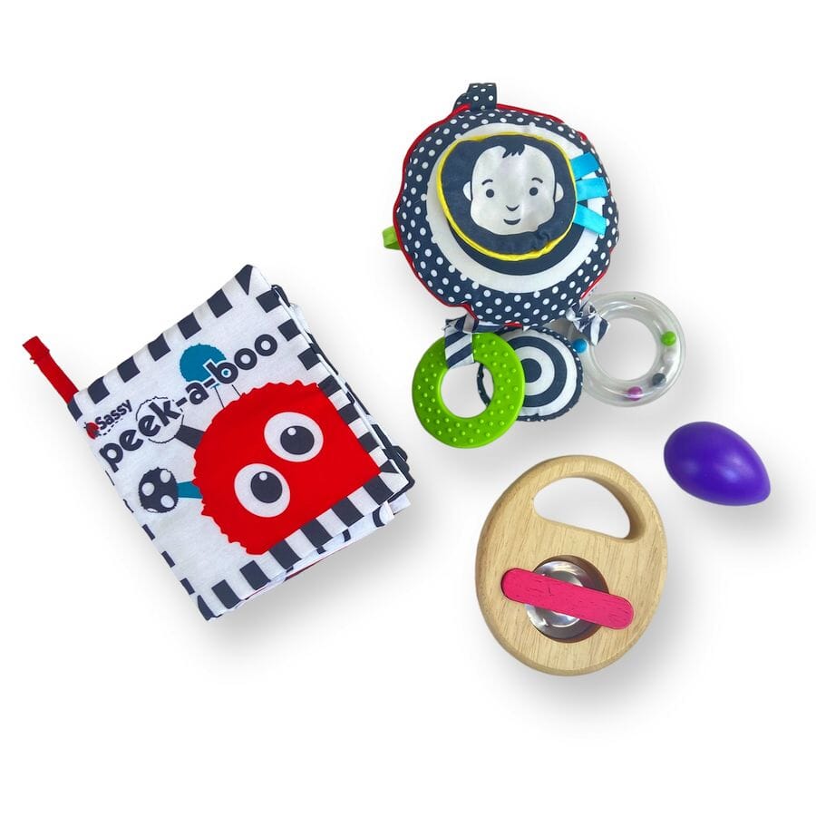 Mixed Brands - Infant Sensory Toy Bundle - Sights & Sounds