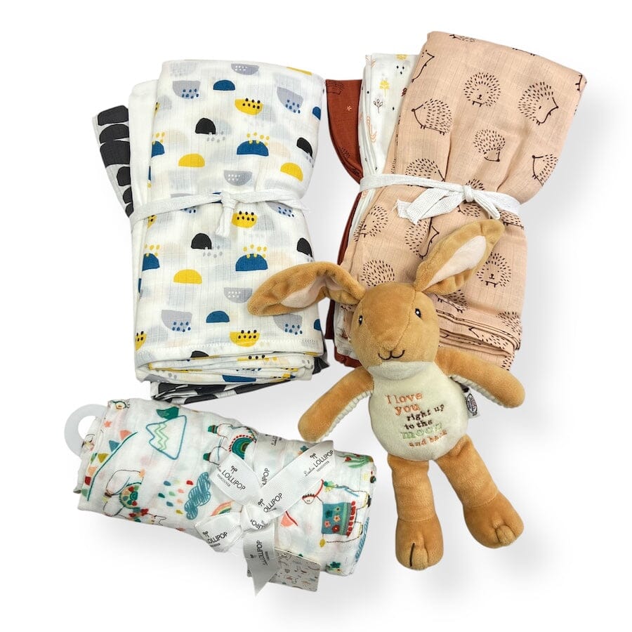 Infant Swaddles Bundle with Plush Bunny Toys 
