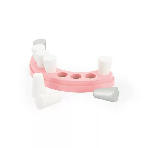 Janod Dentist Set Toys 