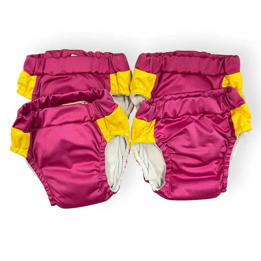 Kangacare Lil Learnerz Training Pants Cloth Diapers 