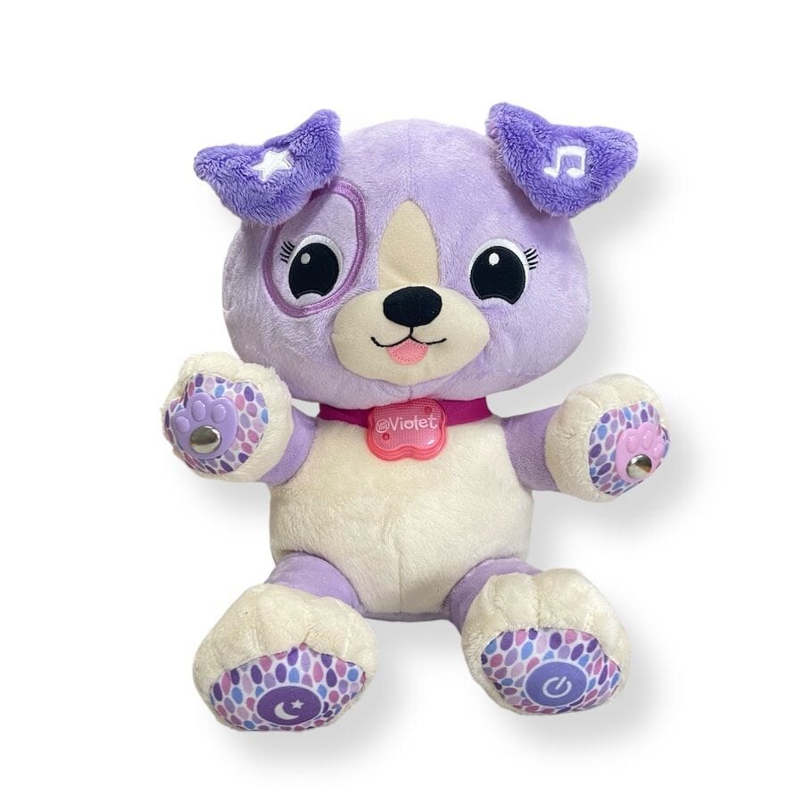 LeapFrog My Pal Violet Interactive Learning Toy – TOYCYCLE