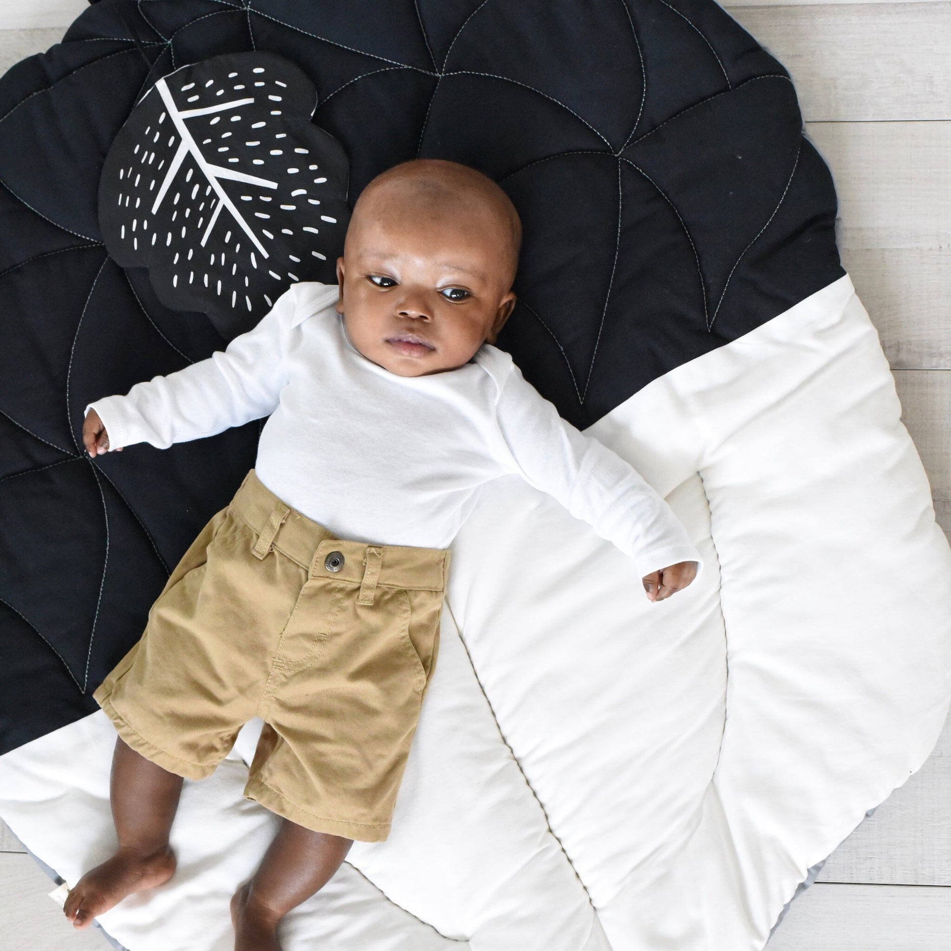 Wee Gallery - Little Acorn Bundle