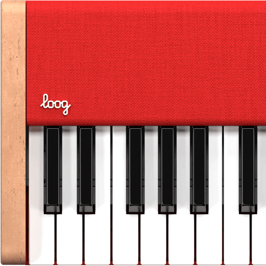 ☆loog x duolingo piano ルーグピアノ The Loog x Duolingo Piano - World Piano News