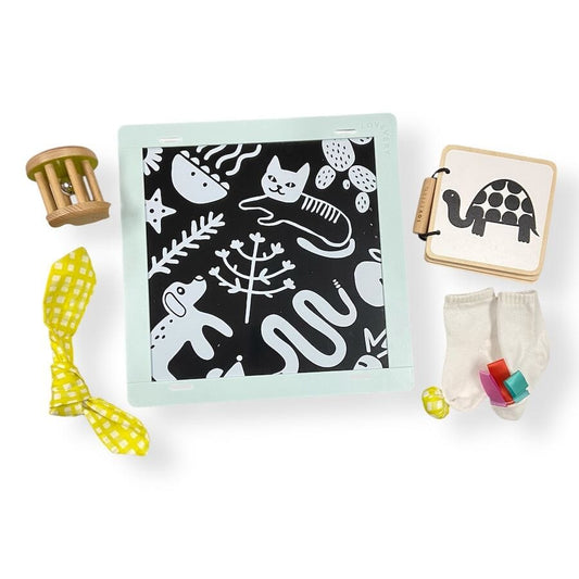 Lovevery - Lovevery Baby Toys For Months 0 - 6