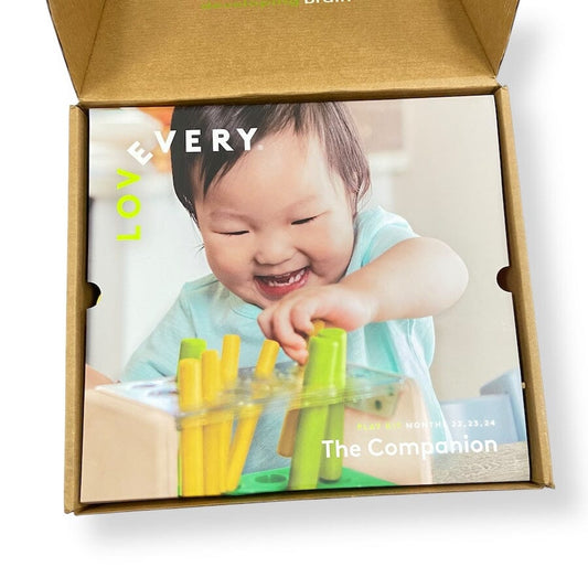 TOYCYCLE - Lovevery The Companion Play Kit