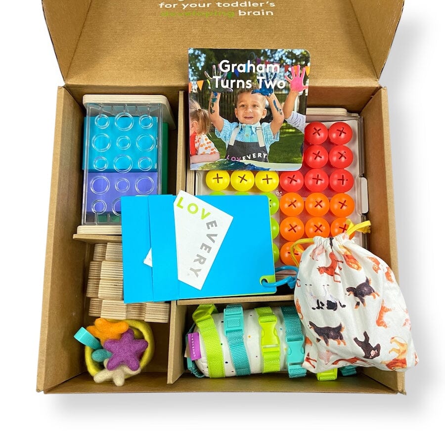 Lovevery The Companion Play Kit 