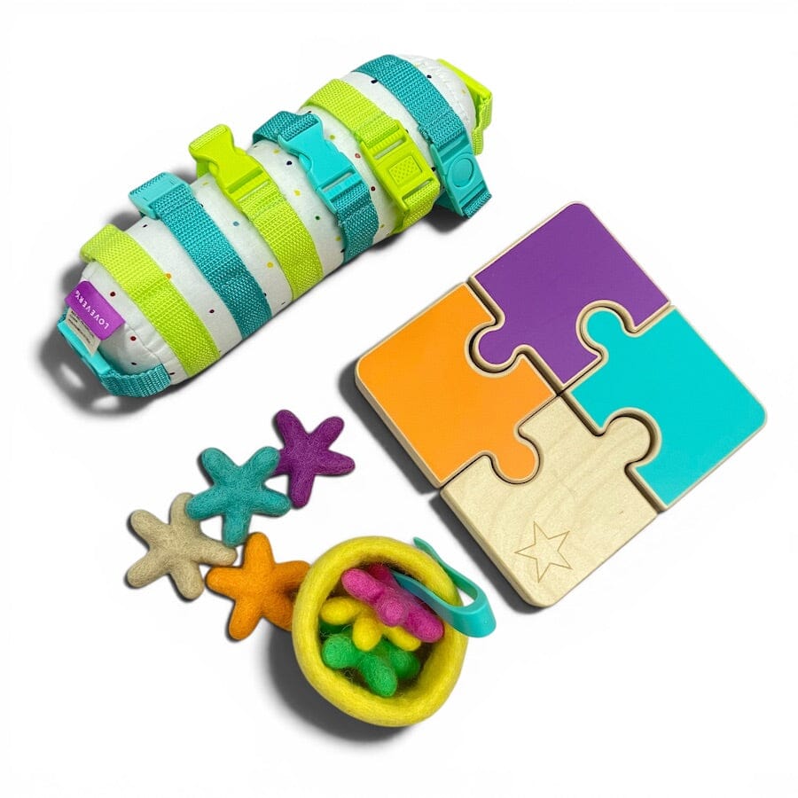 Lovevery The Companion Play Kit 
