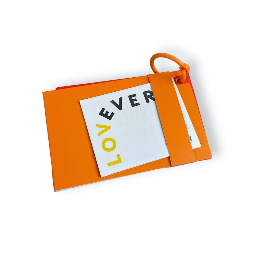 Lovevery The Investigator Play Kit - Incomplete – TOYCYCLE