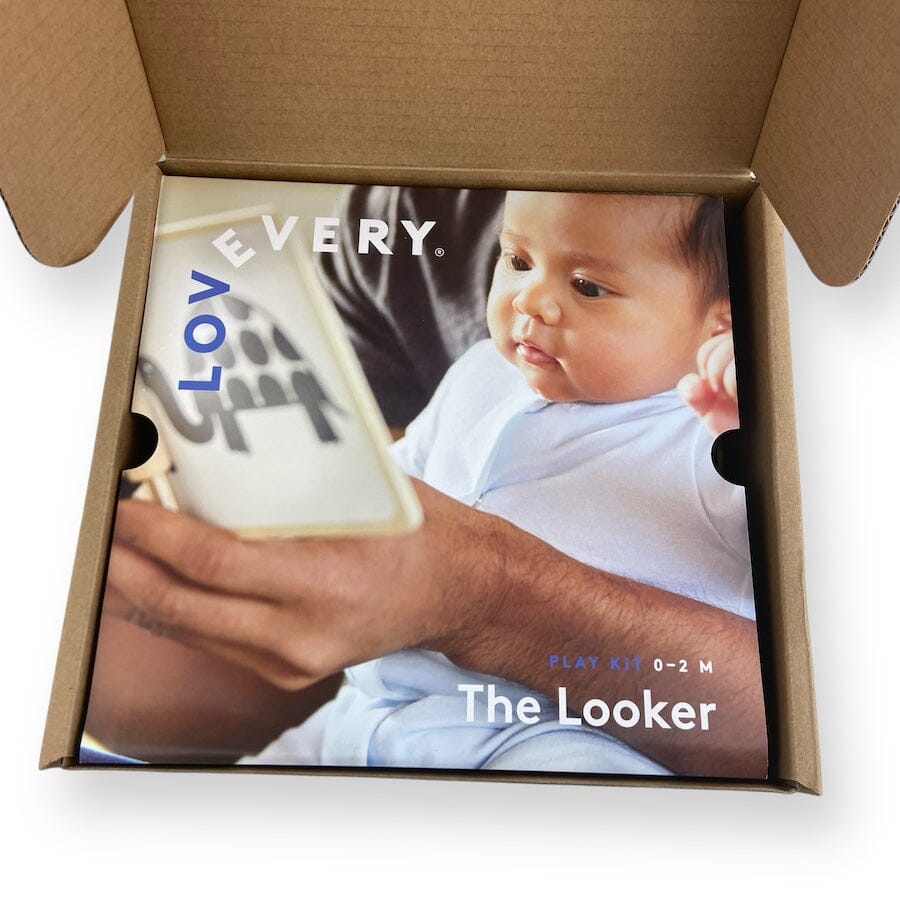Lovevery The Looker Play Kit Toys 