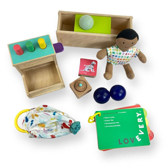 Lovevery The Thinker Play Kit Toys 
