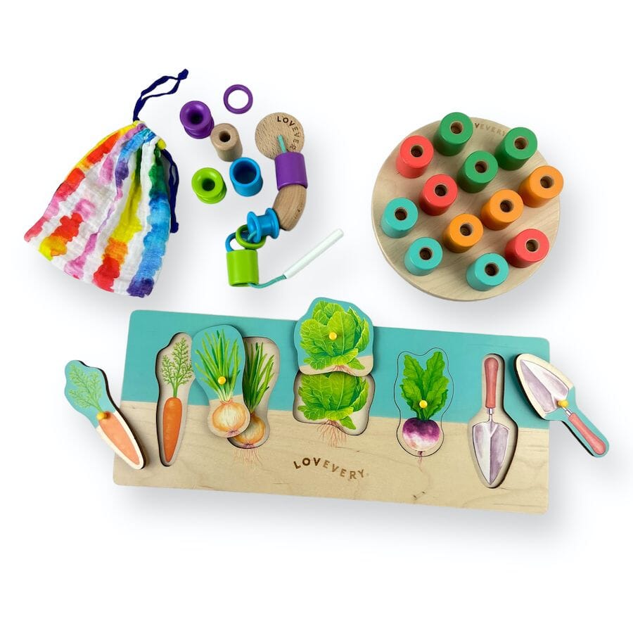 Lovevery Toys from The Adventurer Play Kit Toys 