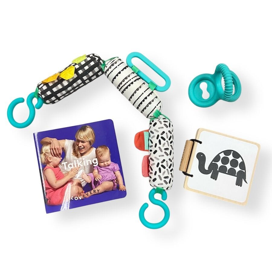 Lovevery - Lovevery Toys from The Looker & Charmer Play Kits