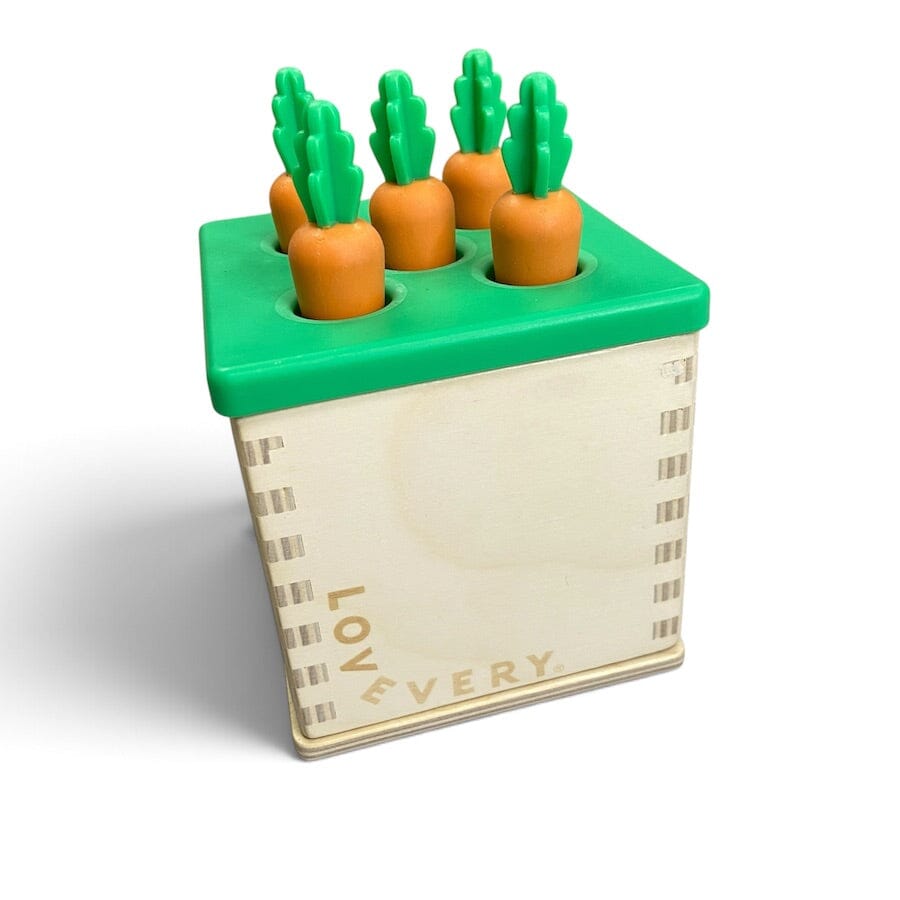 Lovevery Wooden Coin Bank and Carrot Counting Set Toys 