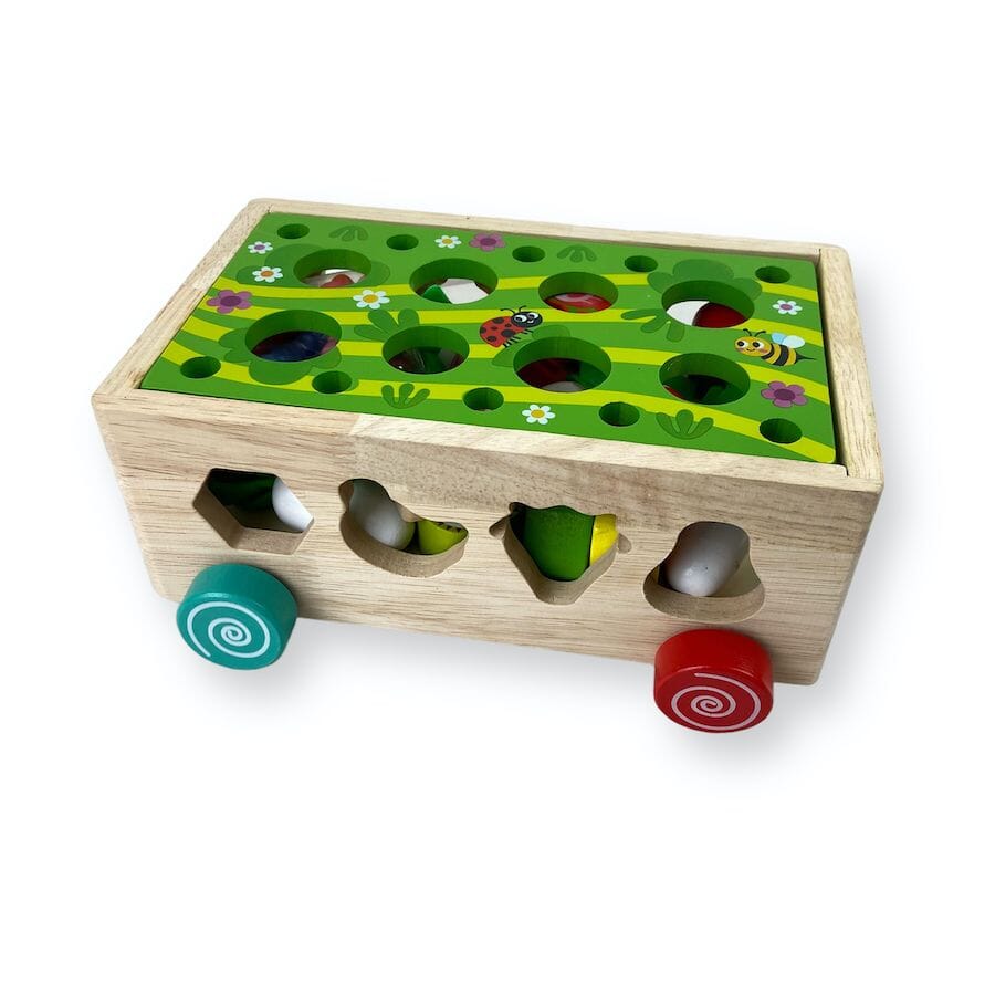Montessori Garden Shape Sorter Toys 