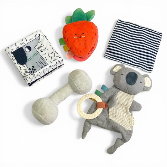 Neutral Tone Baby Toy Bundle with Koala Toys 