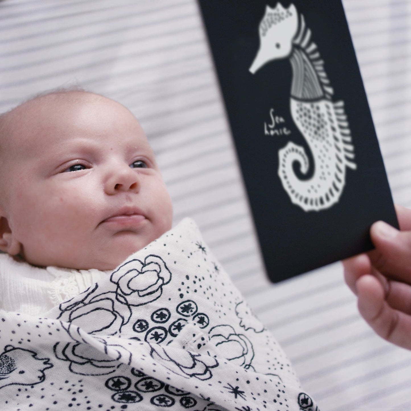 Wee Gallery - Newborn Baby Gift Set - Ocean