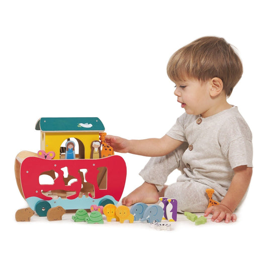 Noah's Shape Sorter Ark 
