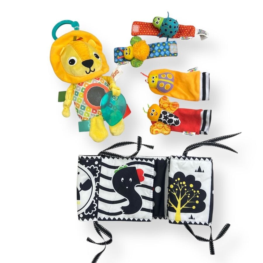 Mixed Brands - On - the - go & Stroller Toy Bundle