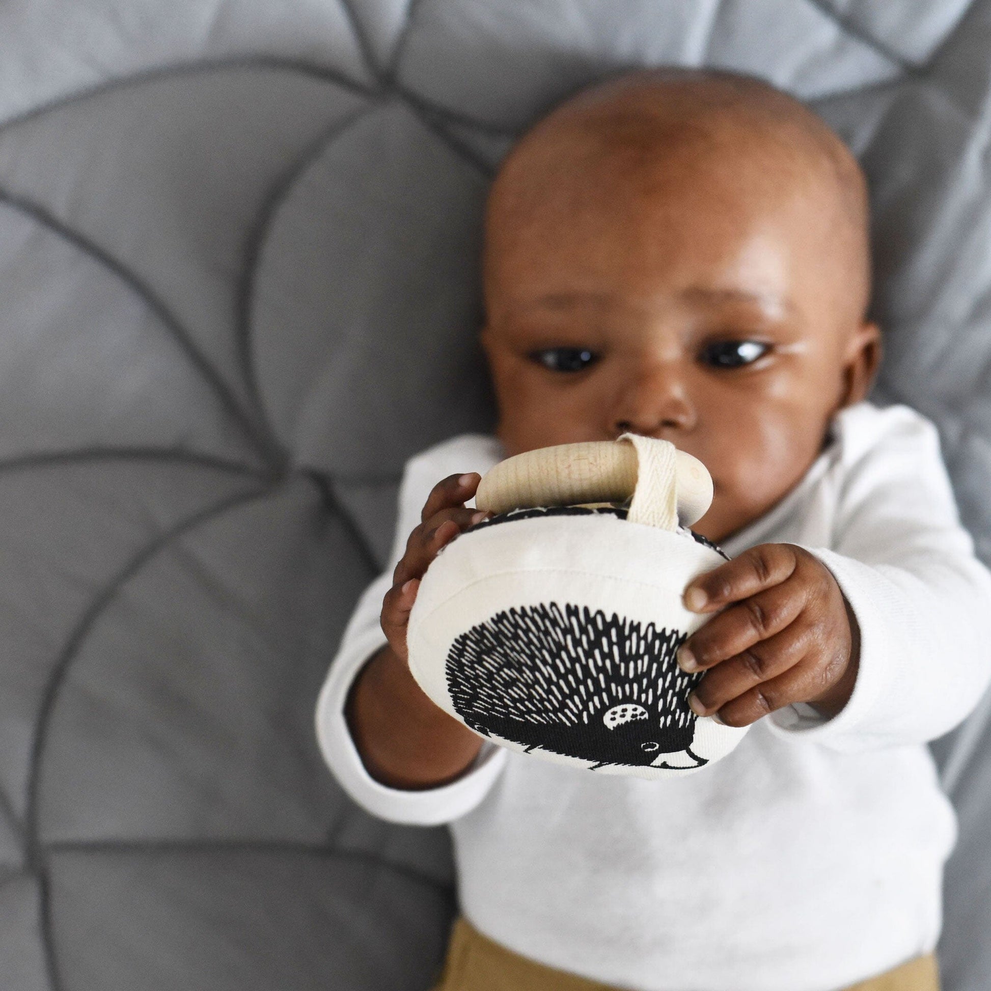 Organic Teether - Hedgehog Teethers 