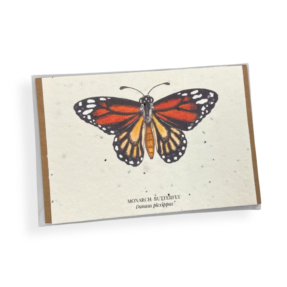 HummyBee - Plantable Wildflower Seed Card Bundle
