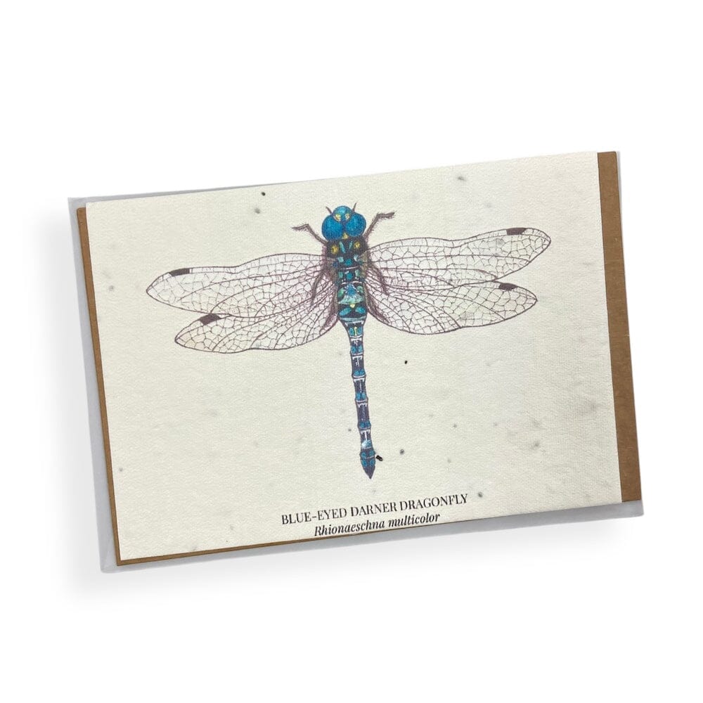HummyBee - Plantable Wildflower Seed Card Bundle