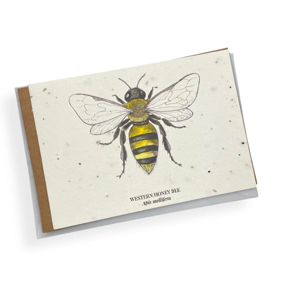 HummyBee - Plantable Wildflower Seed Card Bundle