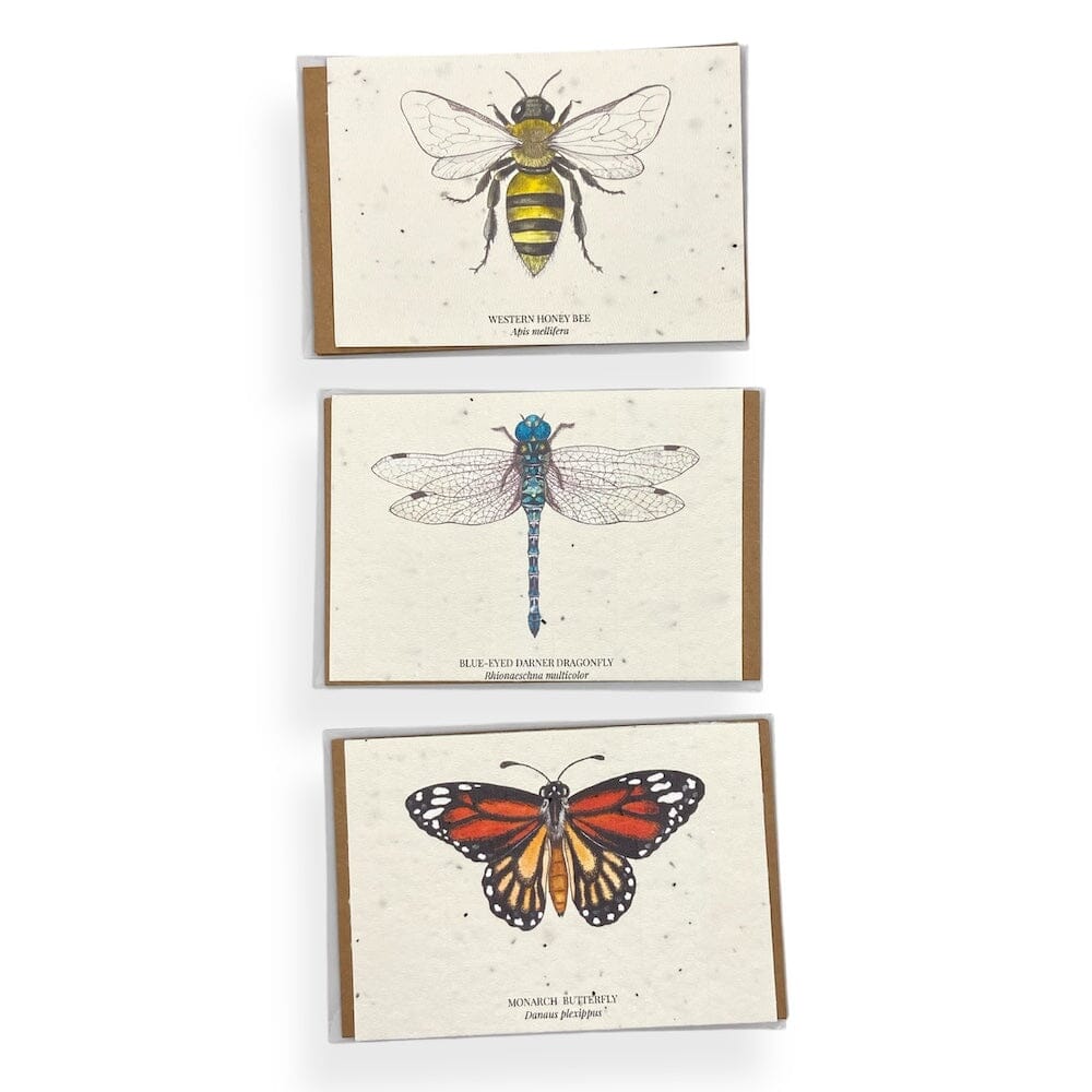 HummyBee - Plantable Wildflower Seed Card Bundle
