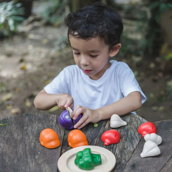 PlanToys 5-Color Veggie Set Toys 