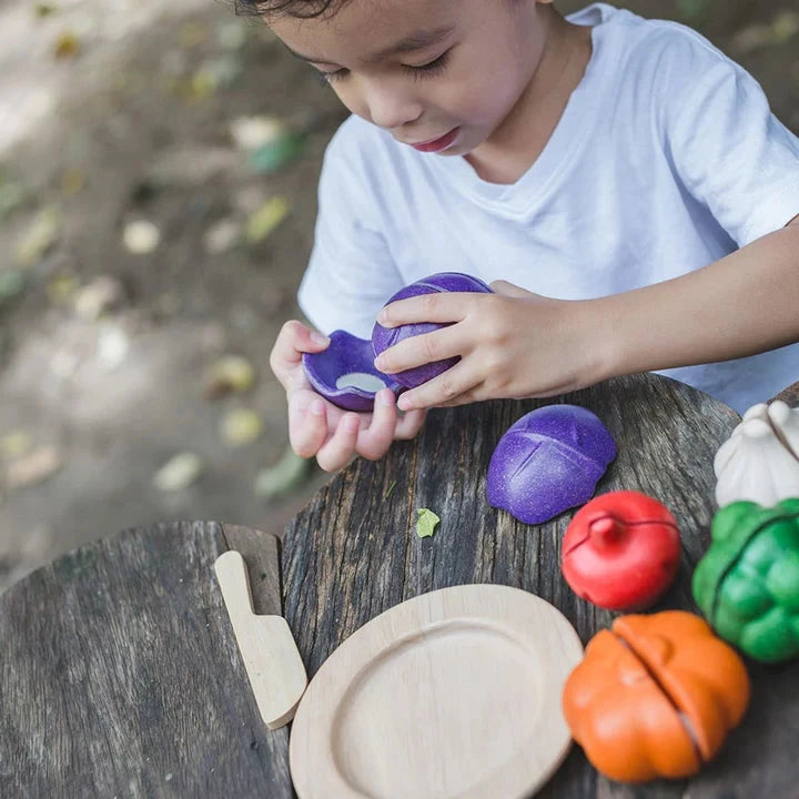PlanToys 5-Color Veggie Set Toys 