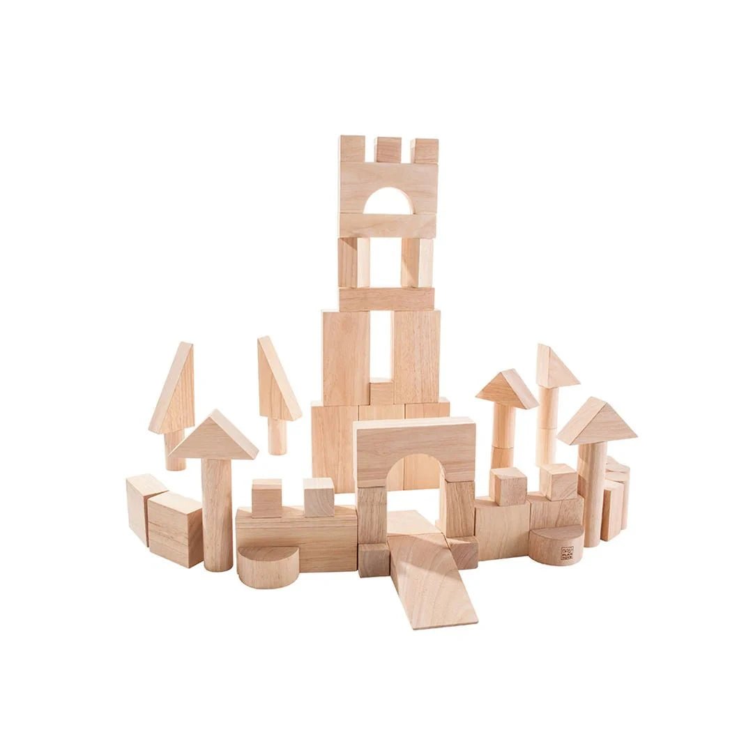 PlanToys - PlanToys 50 Unit Blocks - Open Box
