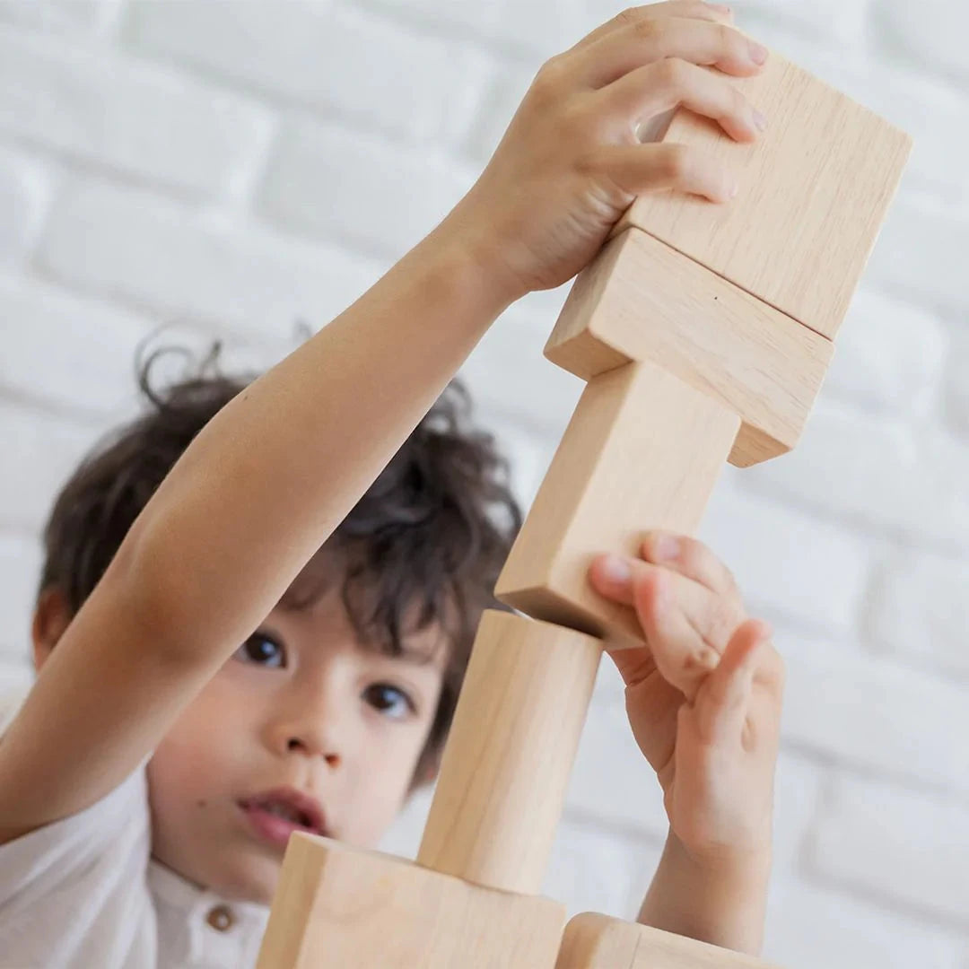 PlanToys 50 Unit Blocks - Open Box Toys 