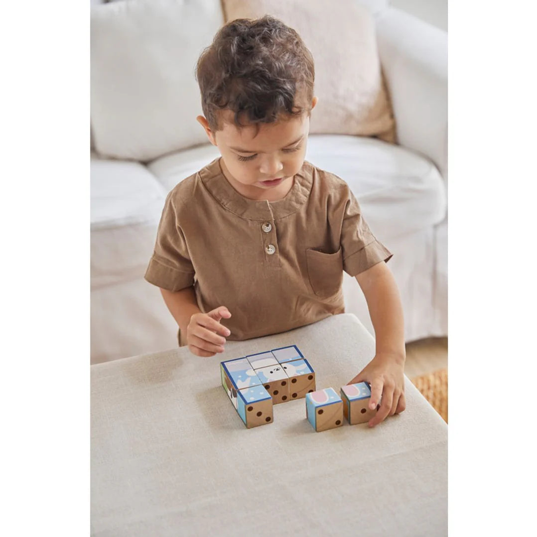 Boy plays with plantoys animal puzzle cube wooden puzzle cubes for toddlers